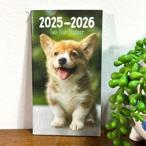 2025 and 2026 Monthly Pocket Planner 2 Years of Calendars Notes Dog Puppies